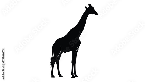 Silhouette of a giraffe against a plain white background showcasing its long neck