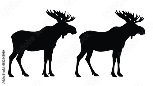 Two black silhouettes of majestic moose stand facing opposite directions