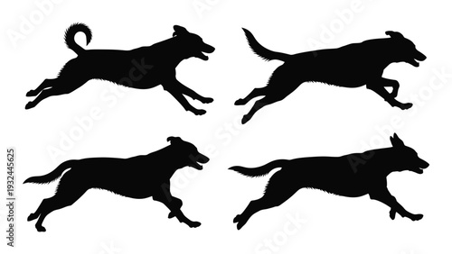Four black silhouettes of dogs in various running and jumping poses