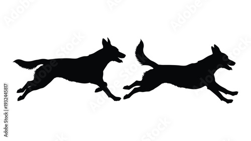 Two german shepherd silhouettes are captured mid run against a white background