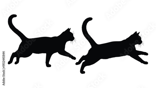 Two black silhouettes of cats in a playful jumping pose against a white background