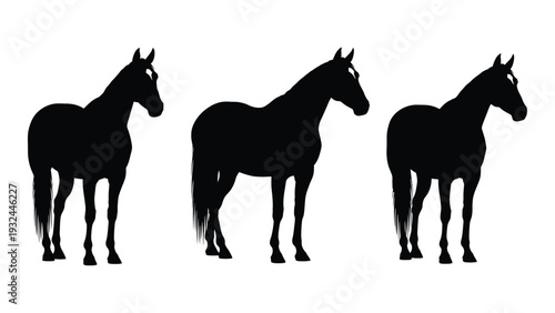 Three black silhouettes of horses are displayed in varying poses against a white background