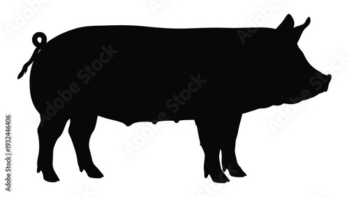 A black silhouette of a pig standing in profile with a curly tail