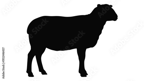 Silhouette of a sheep against a white background showcasing its form and texture