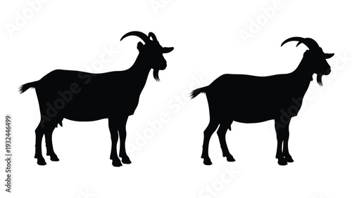 Two black silhouettes of goats are depicted in profile view against a white background