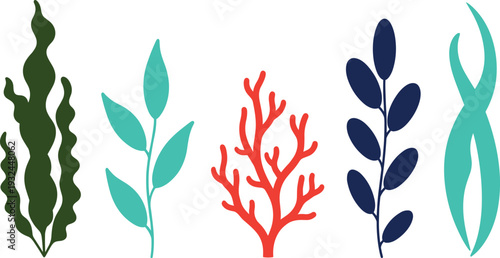 Underwater Sea Plants Illustration Set with Colorful Coral Reef, Green Kelp, Seaweed, and Marine Algae Icons for Ocean Life Design