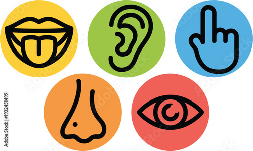Five colorful circular icons representing the five human senses: taste, hearing, touch, smell, sight