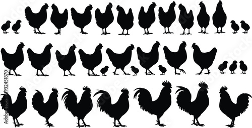 Collection of chicken, chick, and rooster silhouettes arranged in rows, showcasing diverse poultry postures for farm design, animal illustration, 