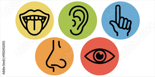 Five Senses Icons Represented By Mouth Ear Finger Nose And Eye On White Background symbol human