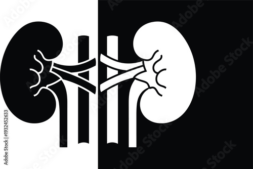 Stylized anatomical illustration of human kidneys with renal arteries and veins, mirrored black and white design for medical education, healthcare resources, and anatomical study concepts.
