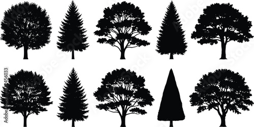 Black silhouette illustration of diverse trees, deciduous broadleaf, coniferous evergreen, forest landscape, botanical design, nature art, foliage diversity