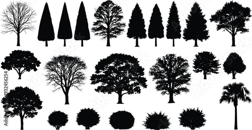 Black silhouette illustration of diverse trees, shrubs, coniferous evergreens, deciduous broadleaf, palm tree, botanical design, forest landscape, nature art