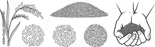 Hand Drawn Rice Plant Grains and Harvested Seeds Collection with Farmer Hands Line Art Vector Illustration Agriculture Concept Design