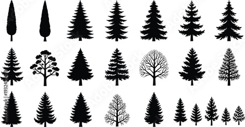 Tree Silhouette Collection with Pine Fir Spruce and Leafy Forest Trees Isolated Black Nature Vector Illustration Set