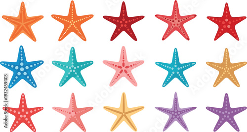Colorful Starfish Collection with Tropical Sea Stars in Bright Summer Colors Isolated Marine Vector Illustration Set