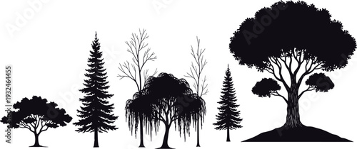 Tree silhouettes collection featuring pine, willow, deciduous and bare trees, black vector illustration set isolated on white background for forest and landscape design