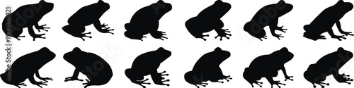 Collection of frog silhouettes in various poses isolated on white background, amphibian wildlife vector illustration set clipart design bundle graphic