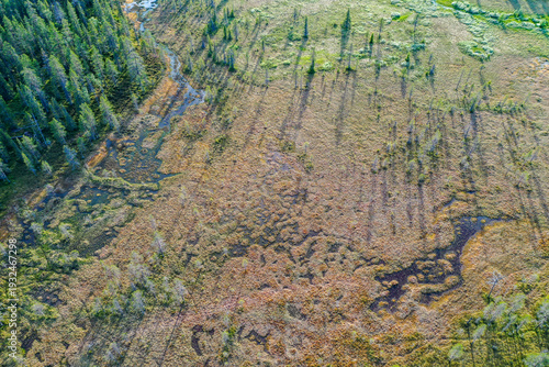 Bild auf Leinwand An aerial of wetland and a spruce forest in Riisitunturi National Park, Northern