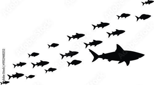 Shark and fish silhouettes vector illustration, ocean predator leading school of fish isolated on white background marine wildlife design