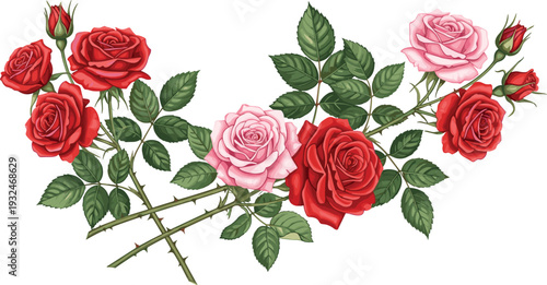 Red and pink rose flower bouquet illustration, vintage botanical floral arrangement with green leaves isolated on white background