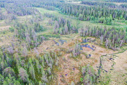 Bild auf Leinwand An aerial of wetland and a spruce forest in Riisitunturi National Park, Northern