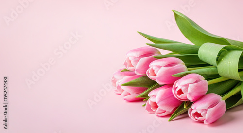 Pink tulip bouquet arranged with green leaves on a soft pink background, ideal for floral arrangements and spring-themed designs
