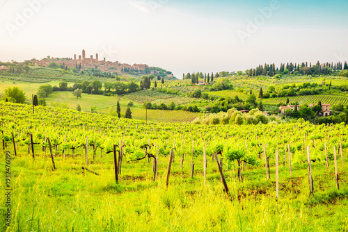 View from the vineyards of the skyline of San Gimignano in Italy.