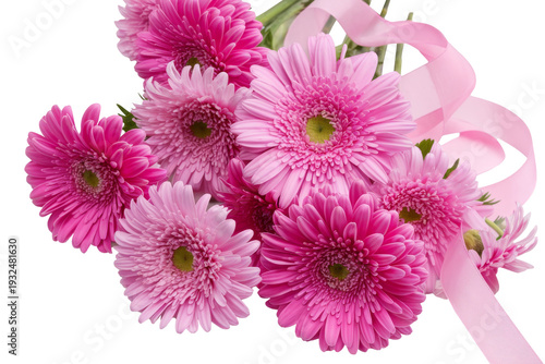 pink gerbera daisies with ribbon on white background.