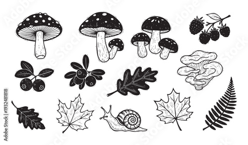 Vintage style black and white forest elements collection for woodland themed projects featuring mushrooms, berries, leaves, and a snail for scrapbooking, fabric printing, and rustic decor