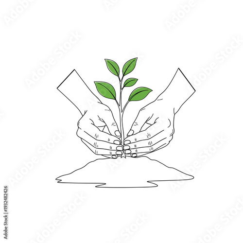 Nurturing Hands Holding a Young Green Plant Sprouting from Soil