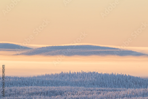 Golden fog during sunrise above winterly landscape with snow covered forest in Northern Finland, Europe