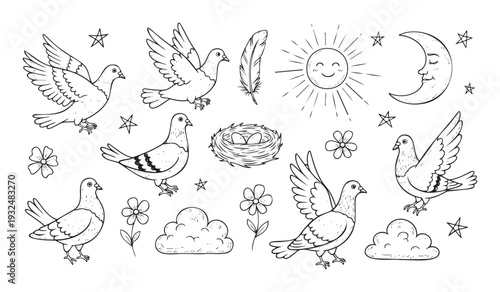 Collection of hand drawn pigeons flying and standing, along with sun, moon, stars, clouds, flowers, nest, and feather illustrations suitable for kids projects and rustic decor