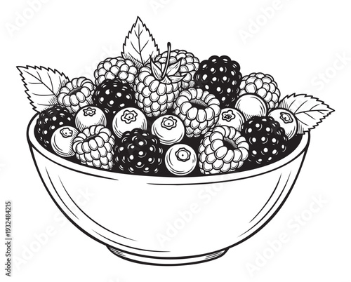 An appetizing bowl overflowing with a variety of forest berries including sweet raspberries, plump blueberries, and succulent blackberries, excellent for food packaging and healthy