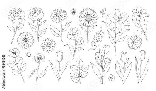 Various line drawings of blooming garden flowers including classic roses, cheerful sunflowers, common daisies, and slender tulips suitable for wedding invitations, packaging, or