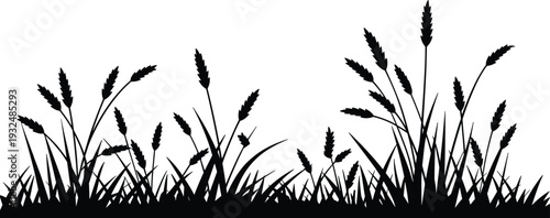 Wheat grass silhouette border set, barley cereal crop agriculture flat vector illustration isolated design element