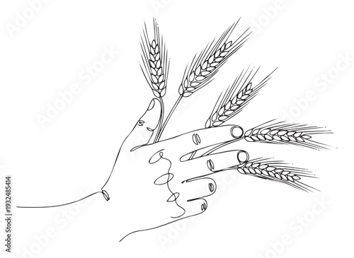 Continuous line drawing of a human hand delicately holding multiple ripe golden wheat ears, symbolizing agriculture, harvest, and natural food, perfect for farming, baking, and organic