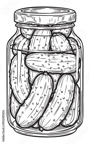 Hand drawn line illustration of a glass jar tightly packed with savory pickled cucumbers, ideal for cooking tutorials, market branding, or rustic kitchen decor projects.
