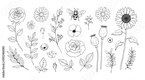 Hand drawn black outline botanical elements including blooming roses, sunflowers, daisies, poppy pods, leaves and sprigs perfect for nature themed projects