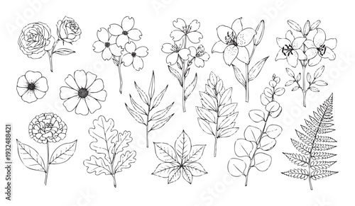 Botanical outline drawings featuring a diverse collection of delicate flowers and various foliage, perfect for crafting projects, wedding invitations, product packaging, or textile prints