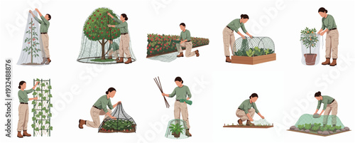 Flat Illustration Protection Netting Application and Using for Plant Growing