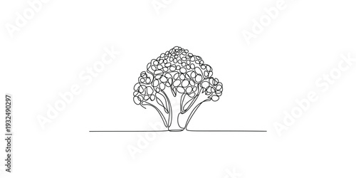 Continuous line drawing of a leafy deciduous tree on a white background with a horizontal line.