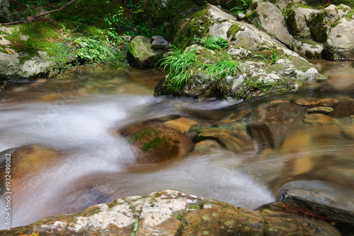 【くらがり渓谷】春の渓流の流れと新緑