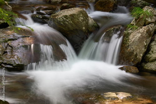 【くらがり渓谷】二つの流れが合流する渓流