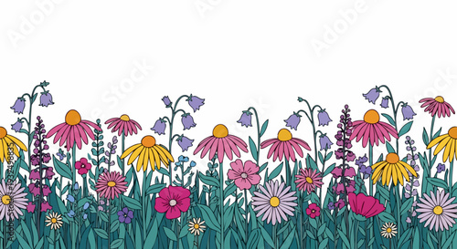 Wildflower Meadow Border Vector Illustration with Colorful Summer Flowers