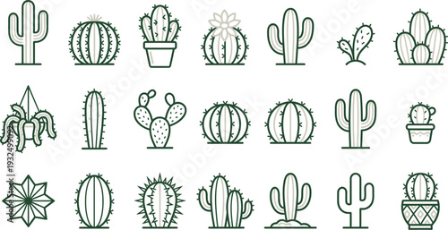 Minimalist line art icons depicting a variety of stylish cactus and succulent plants