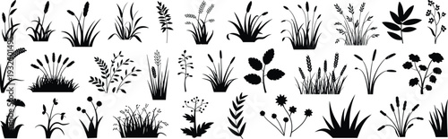 Grass and plant silhouette collection, wild meadow herbs and flowers set, black botanical elements isolated, nature foliage clipart bundle, flat vector illustration