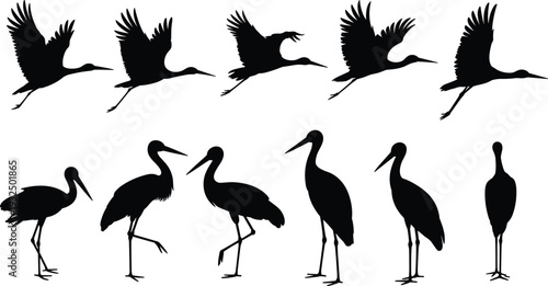 Heron crane bird silhouette collection set, flying and standing waterfowl wildlife animals, black and white flat vector illustration