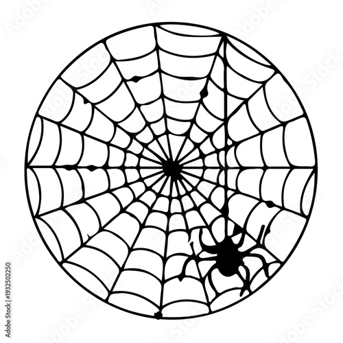 Spider Web Icon