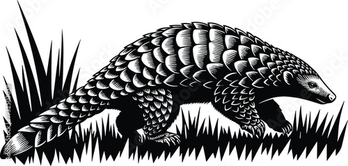 Pangolin Engraving Illustration in Black and White, Detailed Scaly Anteater Walking Through Grass Vector Artwork for Wildlife Conservation and Nature Design