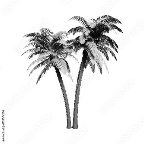 Black and white halftone illustration of tropical palm tree isolated on light background. Exotic summer nature concept for travel, beach and vacation design.